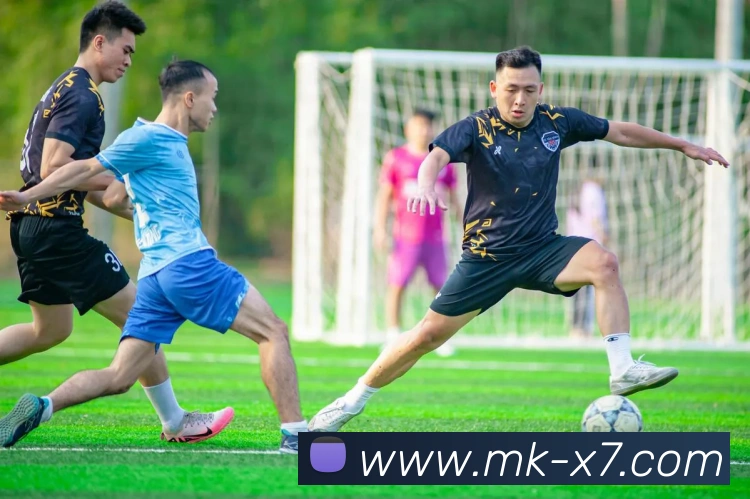 mk体育入口全站App